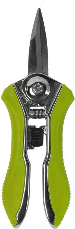 Talen Tools Bloemenschaar Koolstofstaal Groen