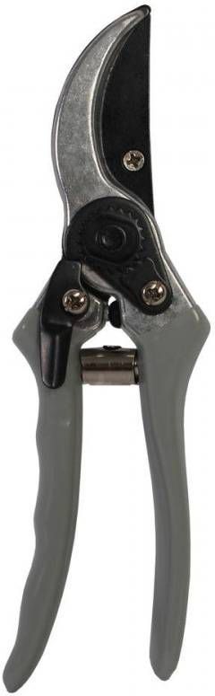 Talen Tools Snoeischaar met papegaaibek grijs