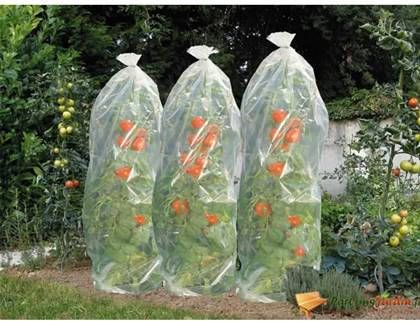 Nature Tomatenhoezen Klim En Geleide Artikel 50x50x1500 cm Transparant